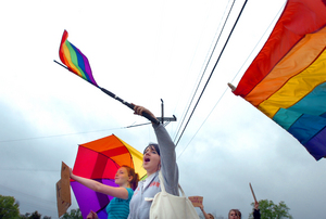 fc605d261f77ce3d1fb6e8812bddbe78a5b47d41_rally_flag050109hs